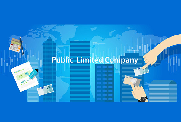 What is Public Limited Company